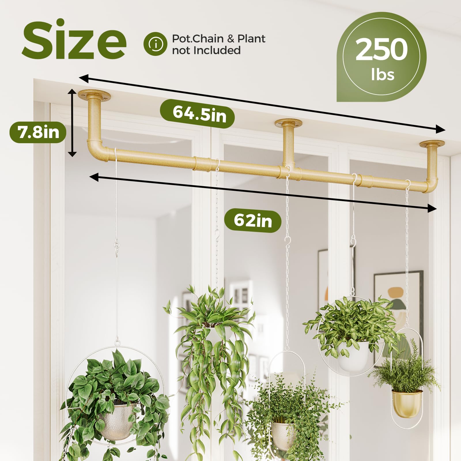 Bamworld Window Plant Hanger Indoor 63in Hanging Planters for Indoor Plants Hanging Plants Holder Hanging Rod Window Plant Shelves Wall Planters Pot/Chain/Plant Not Included(Black)