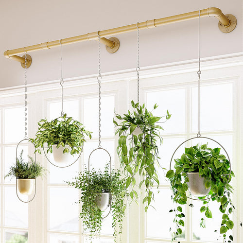 Bamworld Window Plant Hanger Indoor 63in Hanging Planters for Indoor Plants Hanging Plants Holder Hanging Rod Window Plant Shelves Wall Planters Pot/Chain/Plant Not Included(Black)