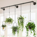 Bamworld Window Plant Hanger Indoor 63in Hanging Planters for Indoor Plants Hanging Plants Holder Hanging Rod Window Plant Shelves Wall Planters Pot/Chain/Plant Not Included(Black)